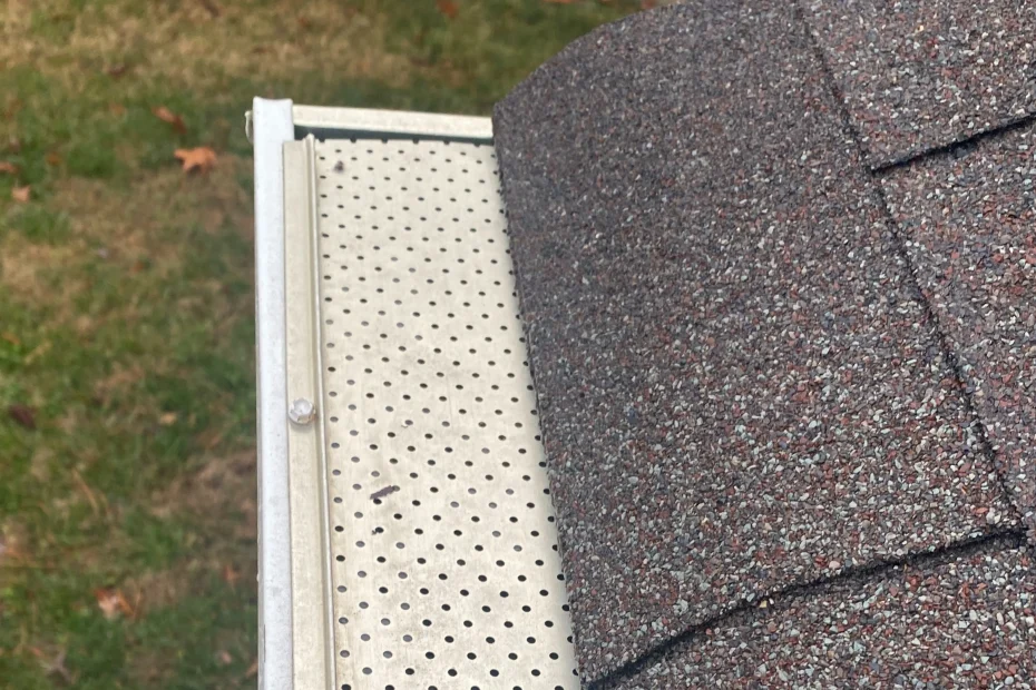 Lexington Gutter Cleaning