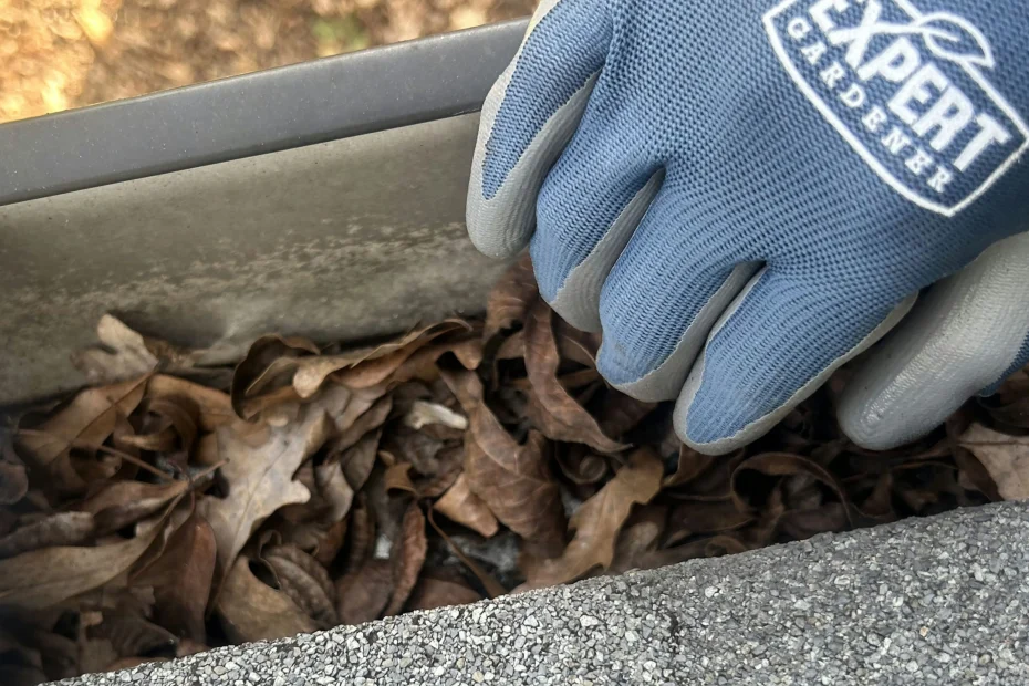 Gutter Cleaning Lexington NC