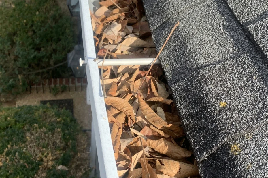 Gutter Cleaning Lexington NC