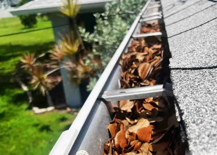 Gutter Cleaning Lexington NC home page